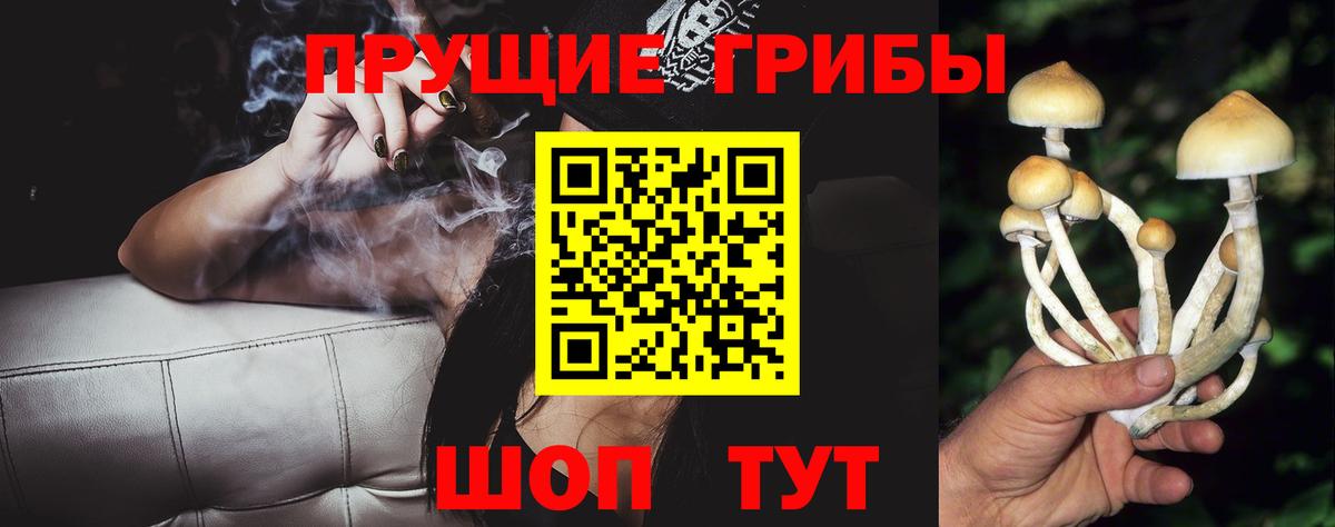 МЕФ Назрань