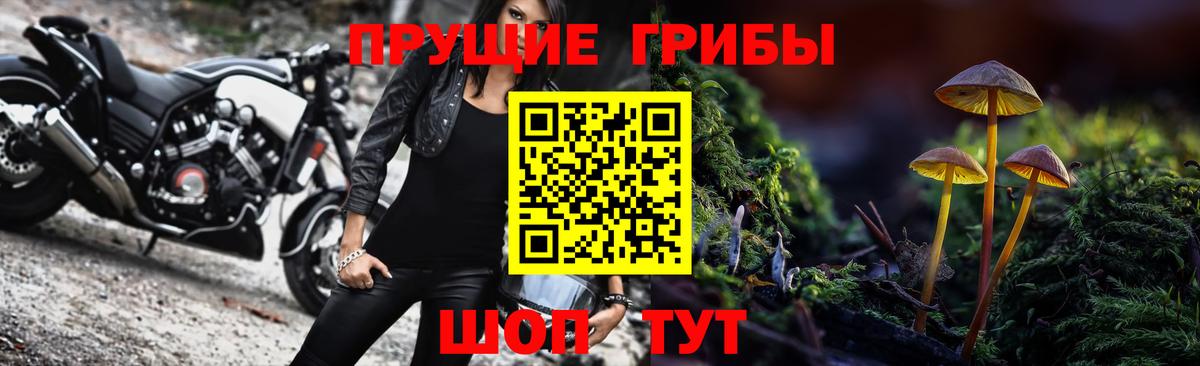 Псилоцибиновые грибы MAGIC MUSHROOMS  наркота  Назрань  Галлюциногенные грибы Psilocybine cubensis  Вход с VPN 