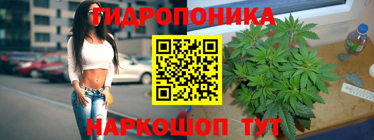 Каннабис Bruce Banner  Вход с VPN  Назрань  Канабис MAZAR  Шишки марихуана планчик 